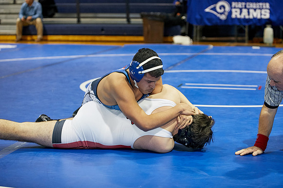 1199_Wrest_12820