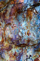 Unicorn_1058