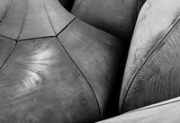 Upside Down_9813