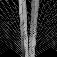 Trapped Tap_50766