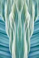 Harmony