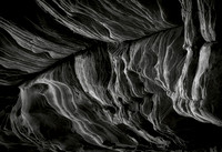Zion_1464