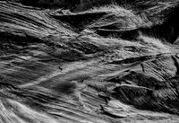 Zion_1016