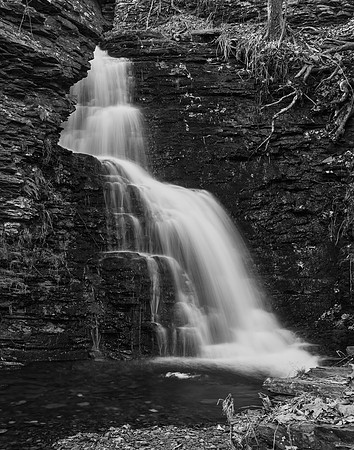 Bushkill Falls_9983