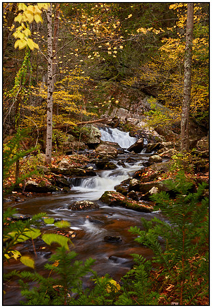 Campbell Falls_0055 13x19