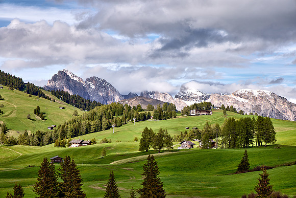 Alpi Di Siusi_Italy_2024_50220