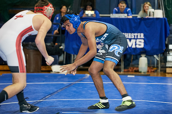 1180_Wrest_12820