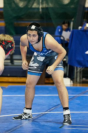 1164_Wrest_12820